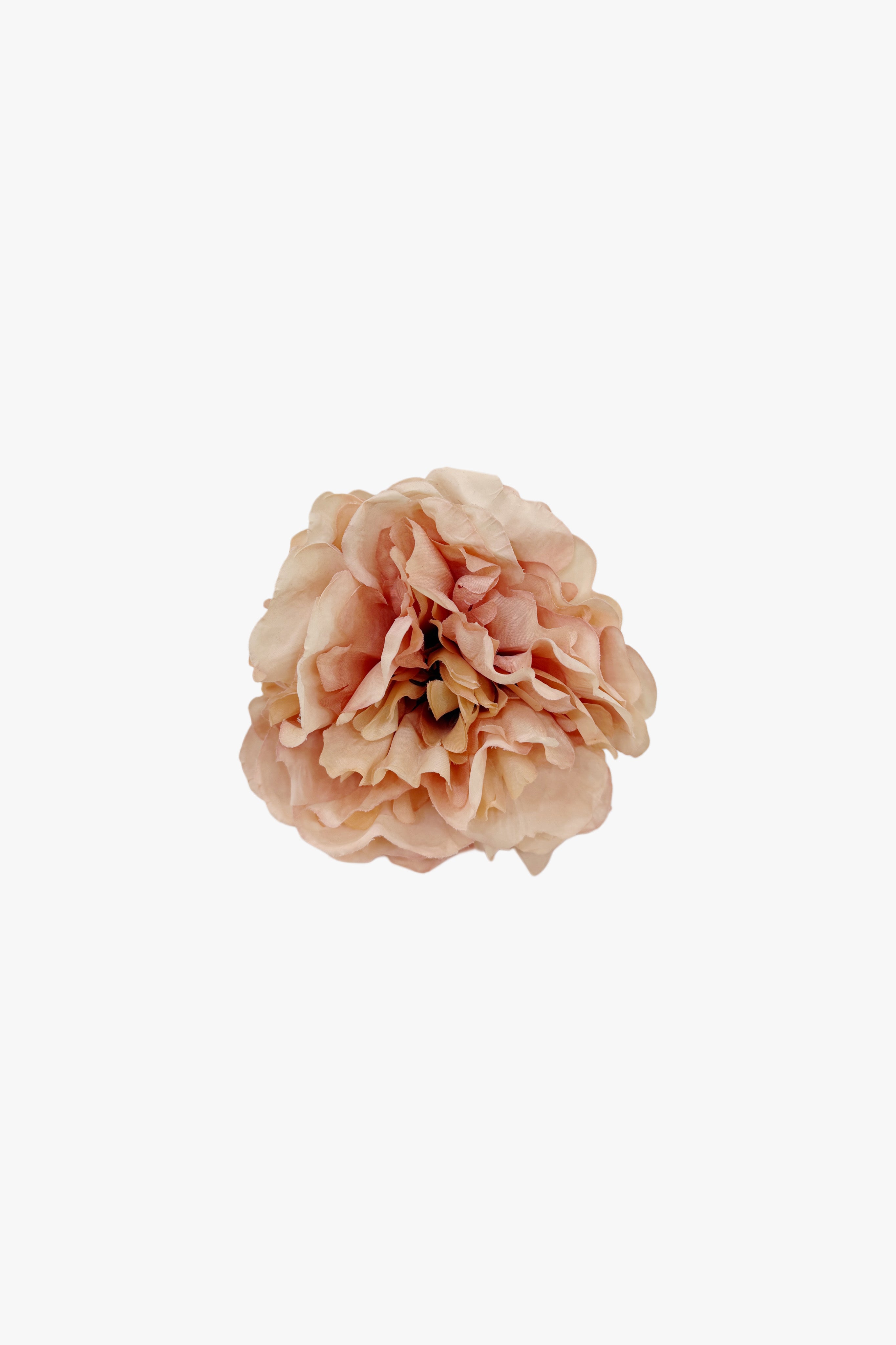Pack Coral