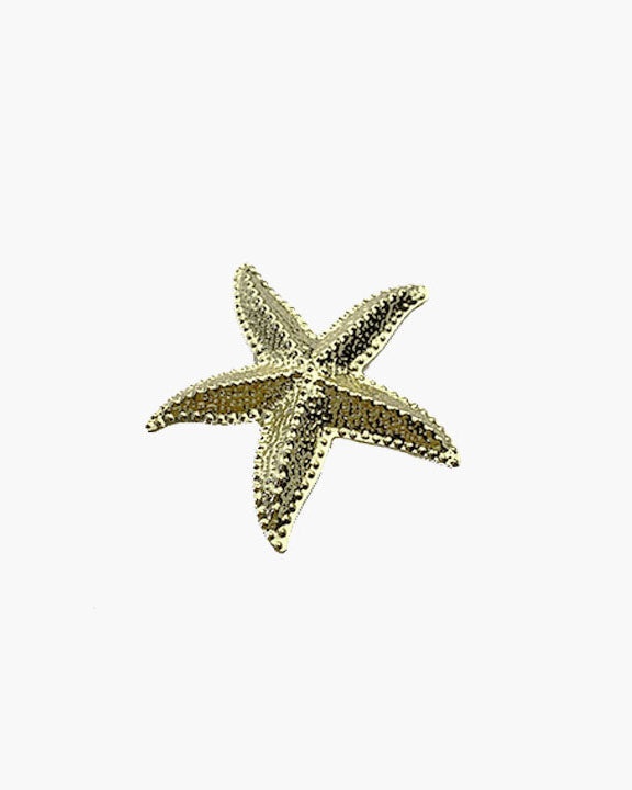 Broche estrella de mar