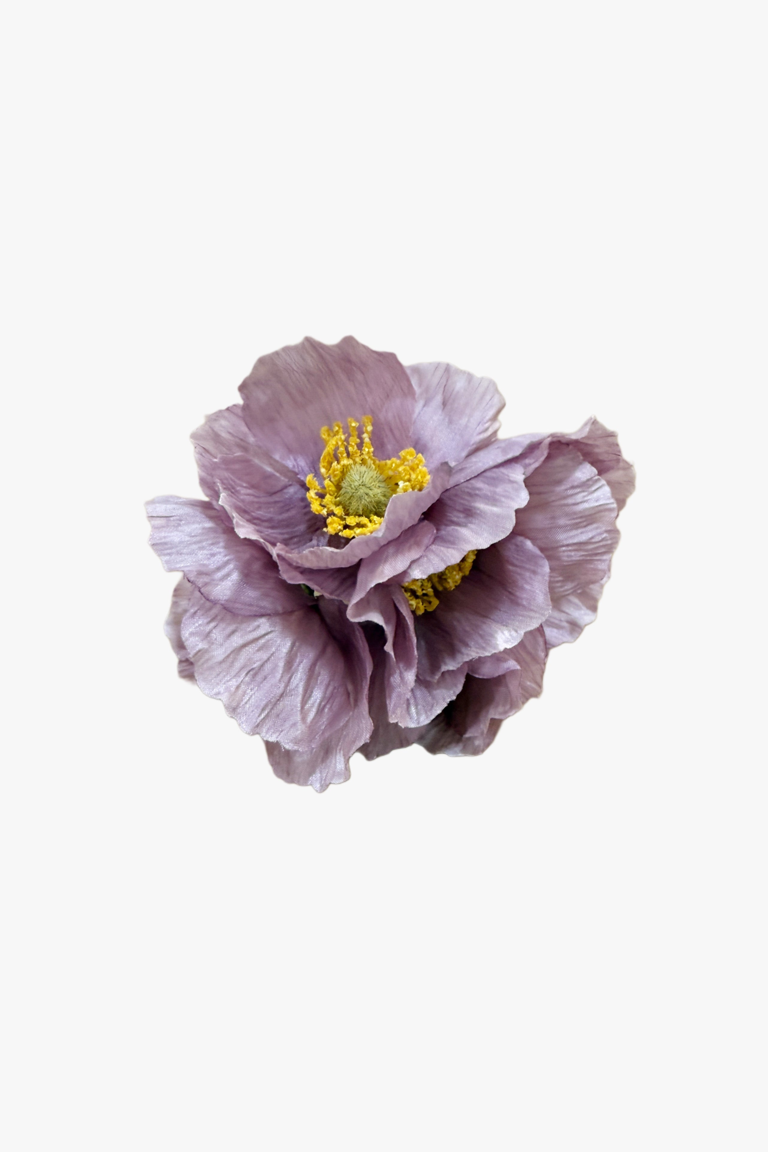 Ramillete de amapolas
