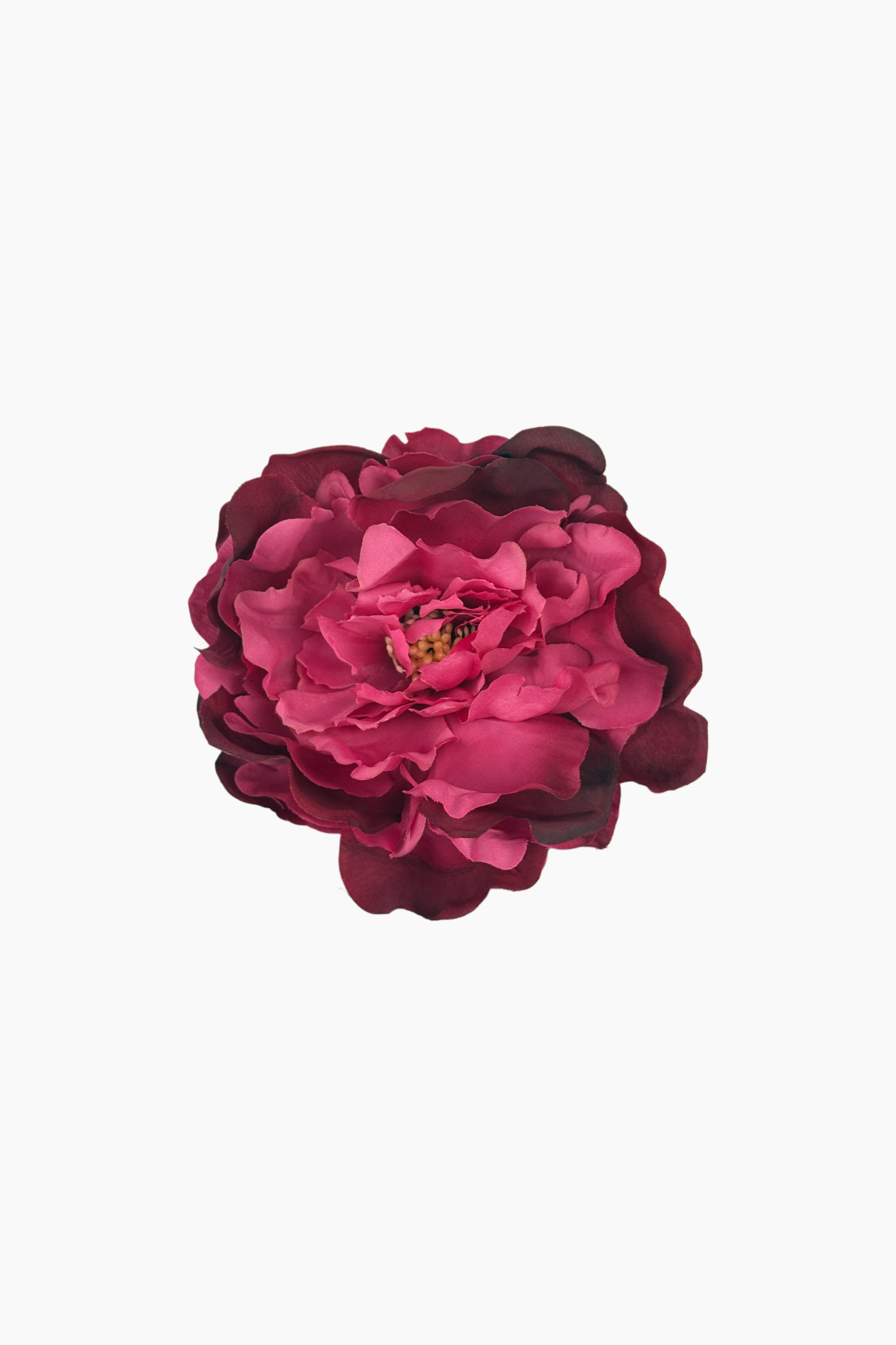 Peonia Teñida