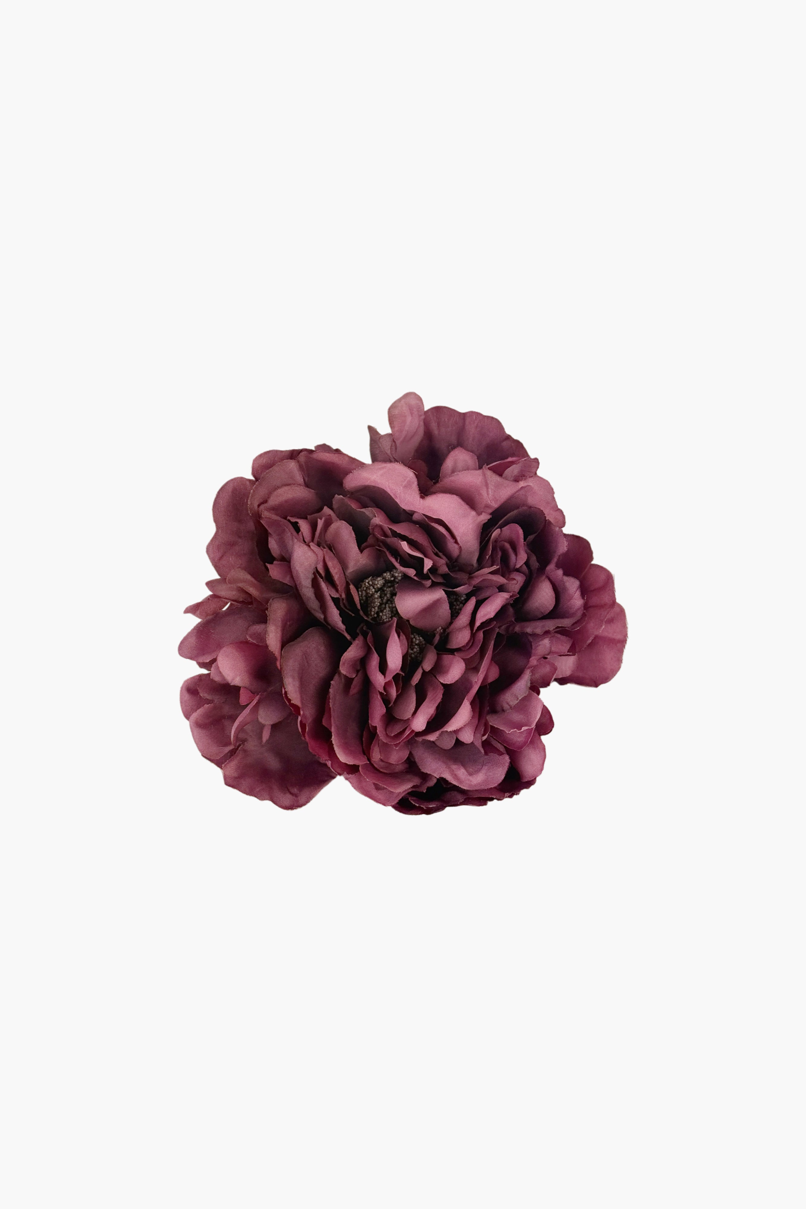 Peonia Teñida