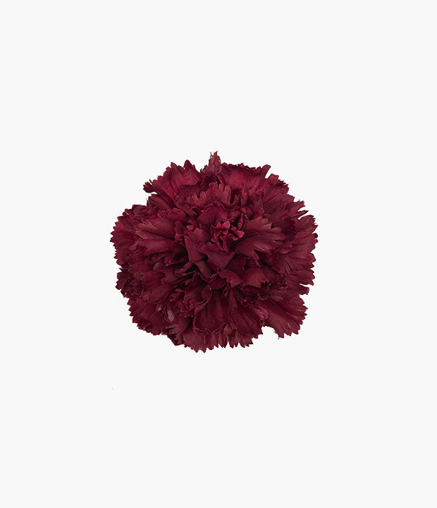 Clavel mediano