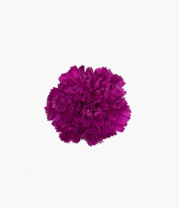 Clavel mediano