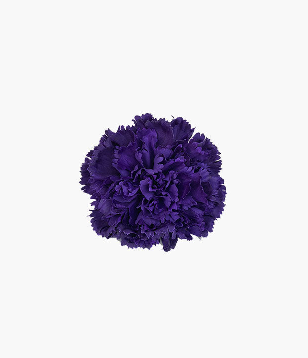Clavel mediano