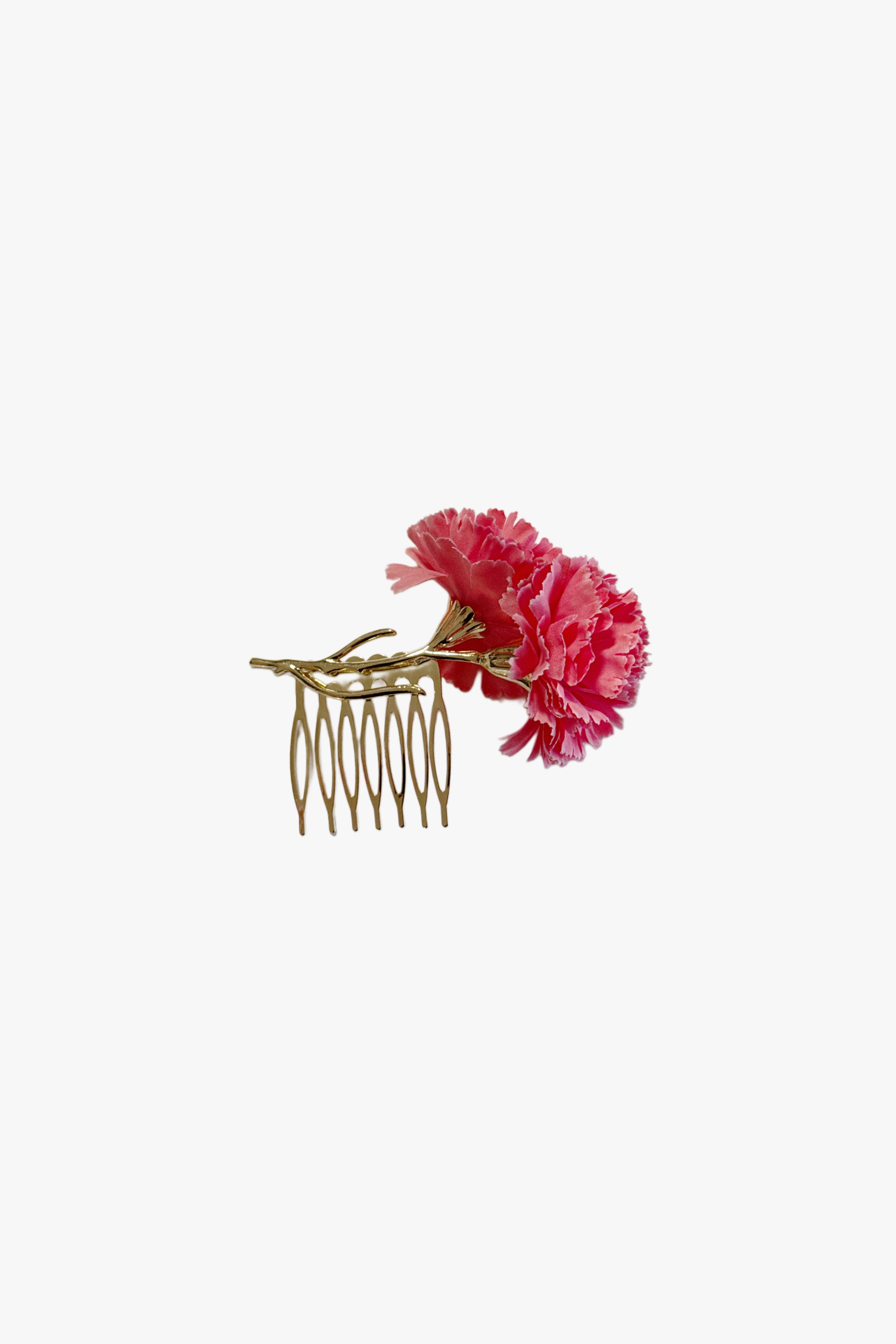 Peinecillo clavel coral