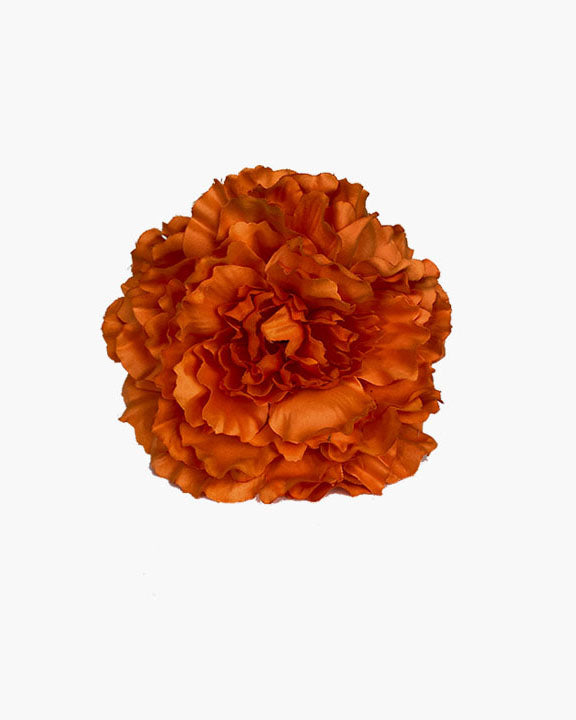 Peonia maxi